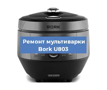 Замена чаши на мультиварке Bork U803 в Новосибирске